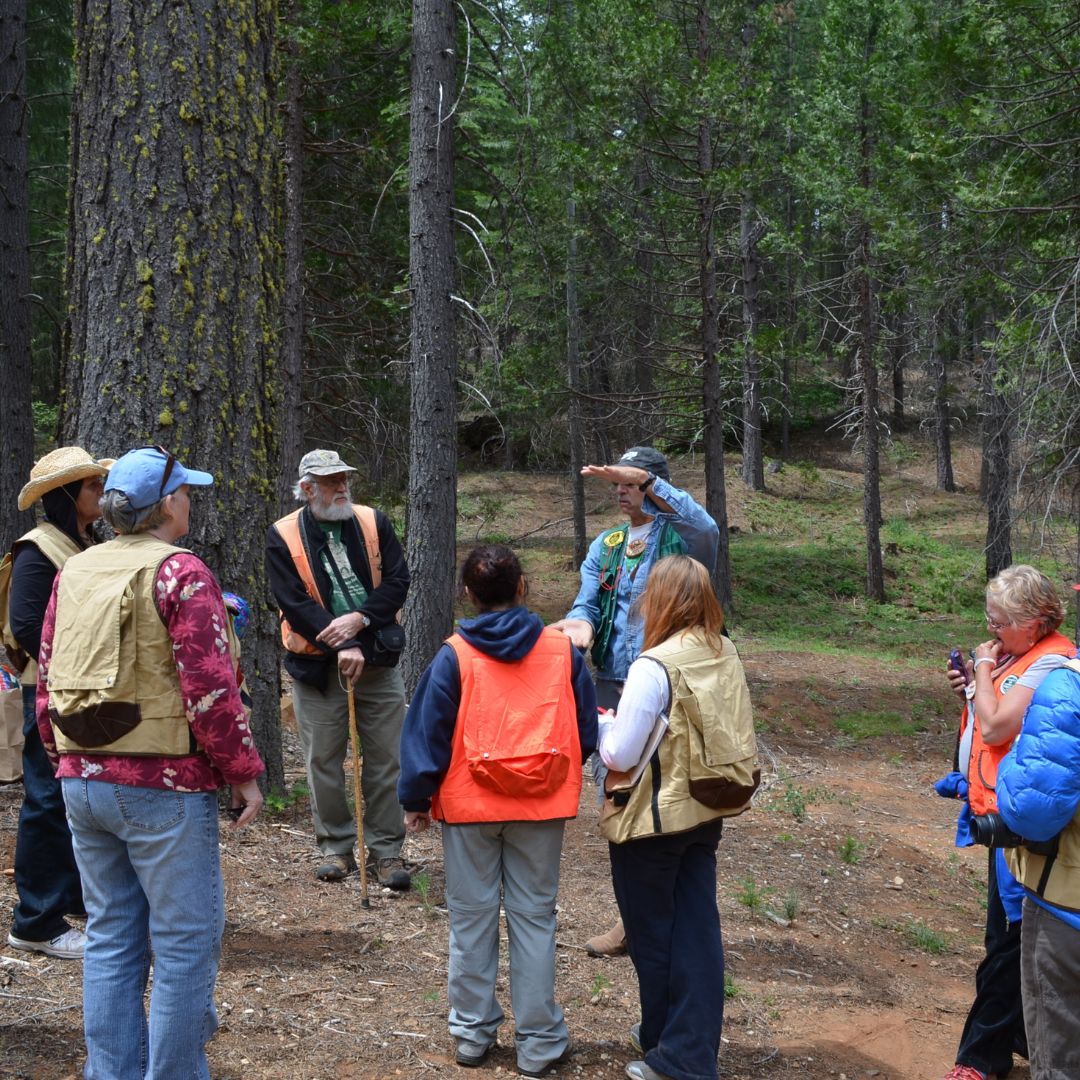 Forest and Natural Resource Management